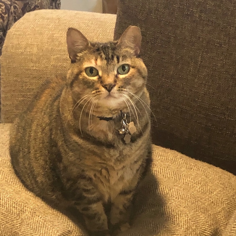 Meet your Posher, Joann